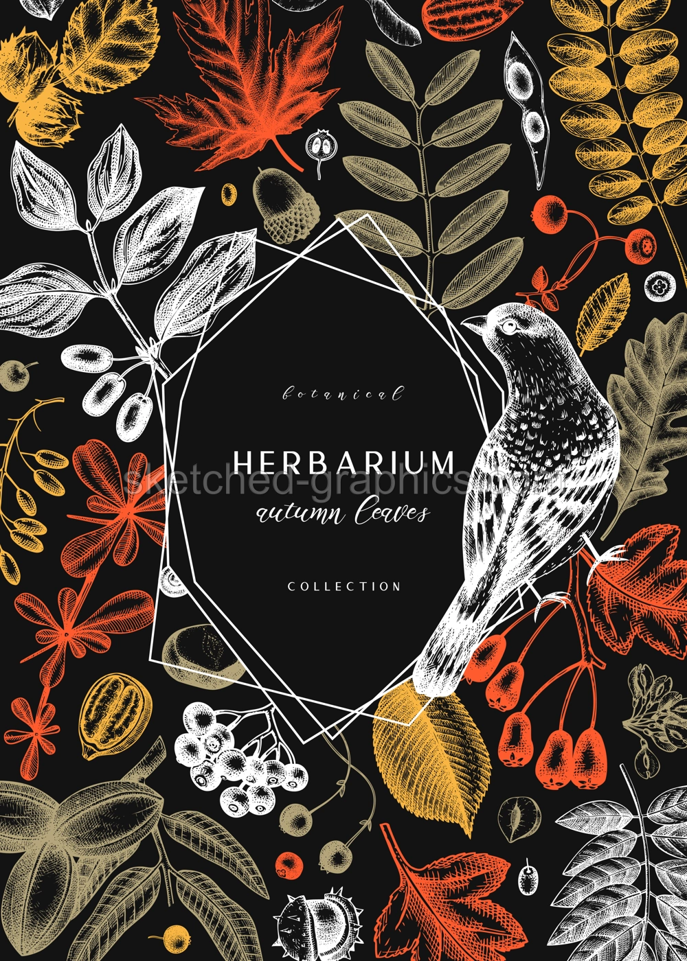 Hand sketched autumn leaves design in color. Elegant botanical template with autumn leaves, berries, seeds and bird sketches. Perfect for invitation, cards, flyers, menu, label, packaging.  Illustration